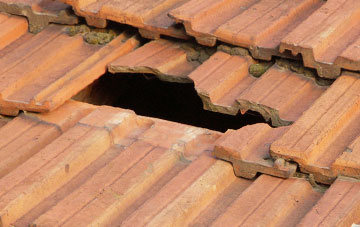 roof repair Salmonby, Lincolnshire