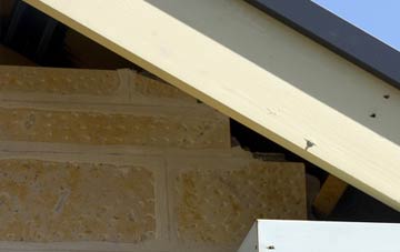 soffit repair Salmonby